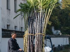 -潜口民宅博物馆