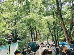 -王顺山国家森林公园