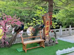 -丹东凤凰山景区