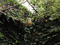 -馬蘭花開(车站大道店)