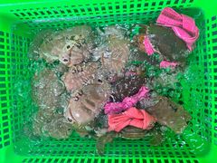 -众味海鲜大排档·活海鲜·潮汕味(南澳店)