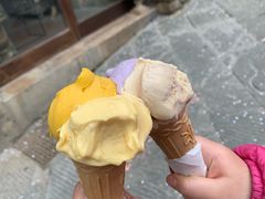摩卡口味冰淇淋-Gelateria Dondoli
