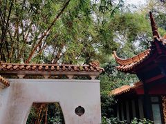 -广州兰圃