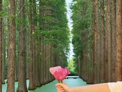 -渌洋湖湿地公园