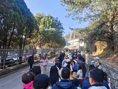 -苍山感通索道