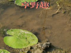 -北坞公园
