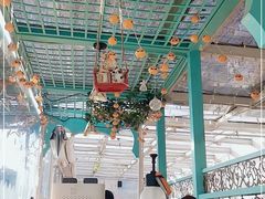 -猫小院猫主题咖啡厅(北锣店)