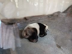 -宁波野生动物园