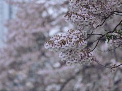 -成都市活水公园