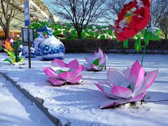 -沈阳奥体冰雪嘉年华