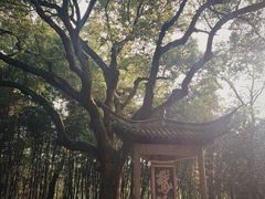 -兰亭风景区
