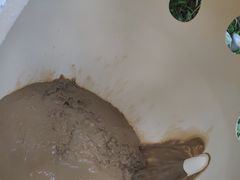 -100蛋泥浆浴