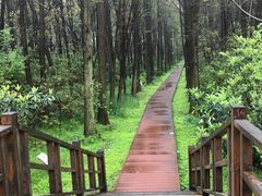-同里国家湿地公园