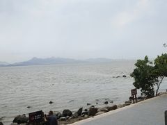-深圳湾公园(南山区)