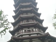 -洋湖国家湿地公园