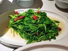 -院8里·小聚园(九眼桥店)