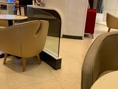 -哈根达斯(龙湖时代天街店)