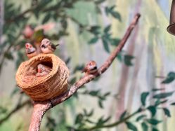 -Zoolung Zoolung动物主题公园(海信广场店)