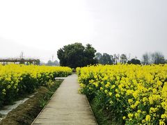 -中国天府农业博览园