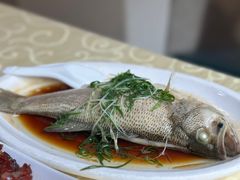 -老字号蛇口德记烧腊饭店·海鲜加工