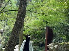 -刘伯温故里景区百丈漈