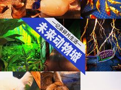 -昆明大悦城未来动物城(螺蛳湾中心店)