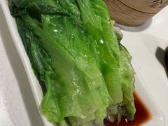 白灼生菜-金鼎轩(亚运村店)