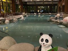 -青城道汤池