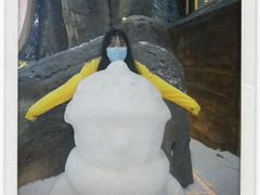 -世界之窗阿尔卑斯冰雪世界