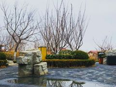 -大连金石滩绿发温泉假日酒店