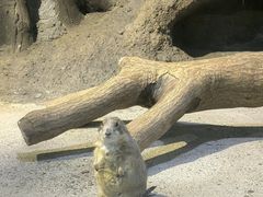 -苏州海洋馆