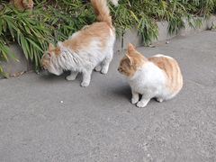 -长安大学(北校区)