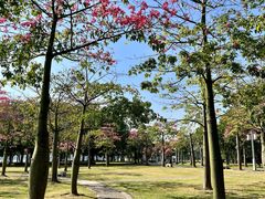 -顺峰山公园