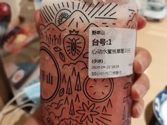 -野萃山·潮汕厚果汁(十亩地店)