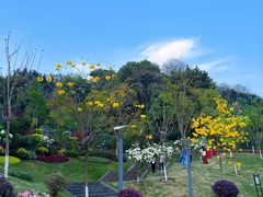 -重庆平顶山公园