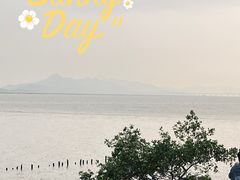 -深圳湾公园(南山区)