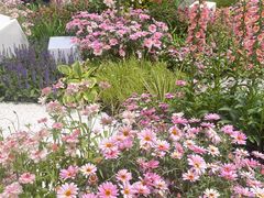 -东方体育中心(地铁站)