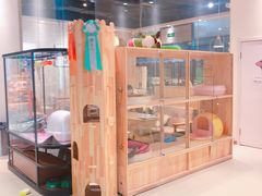 -藏猫猫咖啡主题馆(中央大道店)