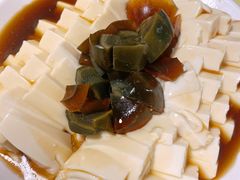 皮蛋豆腐2016-西单翅酷(西单店)