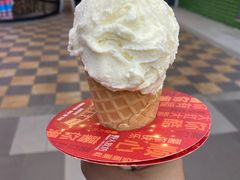 -野人先生现做冰淇淋(西安赛格店)