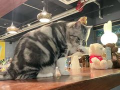 -咖法森林·咖啡  酒吧(天河店)