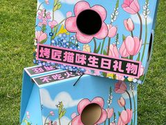 -龙湖成都上城天街