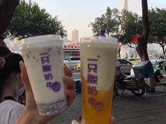 -一只酸奶牛(八一路店)