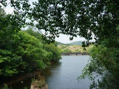 -白马涧龙池景区