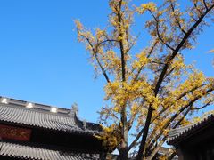 -灵谷景区