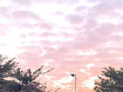 -映月湖公园