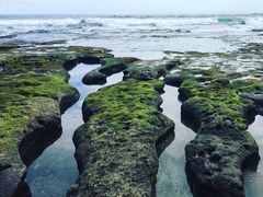 -海神庙