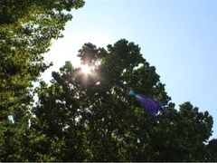 iphone_upload_pic-樱桃山旅游景区