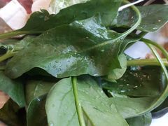 菠菜-家宴渝悦