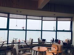 -柴犬小屋·柴餐厅·狗咖食堂(金鼎广场店)